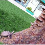 TURTLE WITH CLOCK HANDS ON SHELL