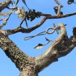 Spirit of Life figure morphs from branch and battles with the elements