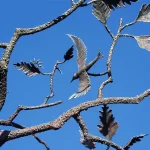 Close-up detail of a sculpted steel bird
